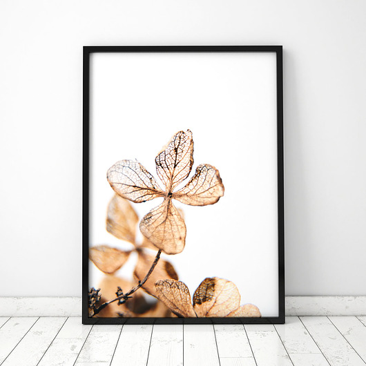 Plakat Suszki 3 COLORMINT