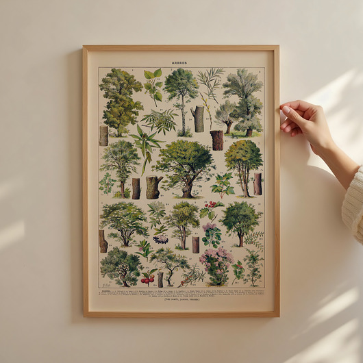 grafiki i ilustracje grafika Arbres (reprint)