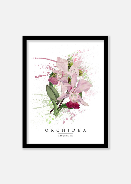 Orchidea Plakat GAU Home