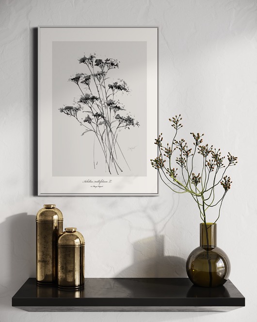 grafiki i ilustracje Plakat Krwawnik