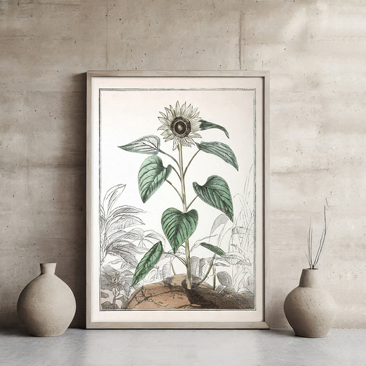 plakaty Plakat botaniczny