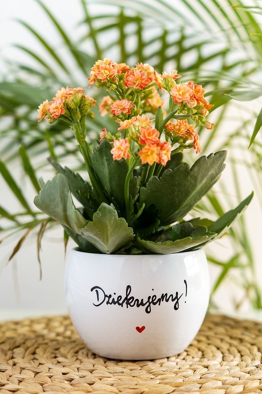 doniczki Osłonka na Doniczkę dla Nauczyciela