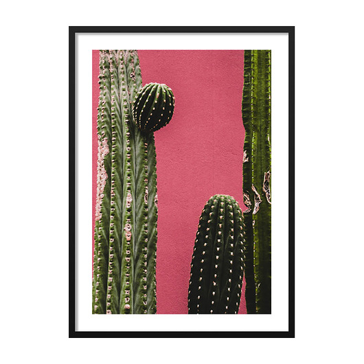 Cactus on the pink wall, Poster mermer