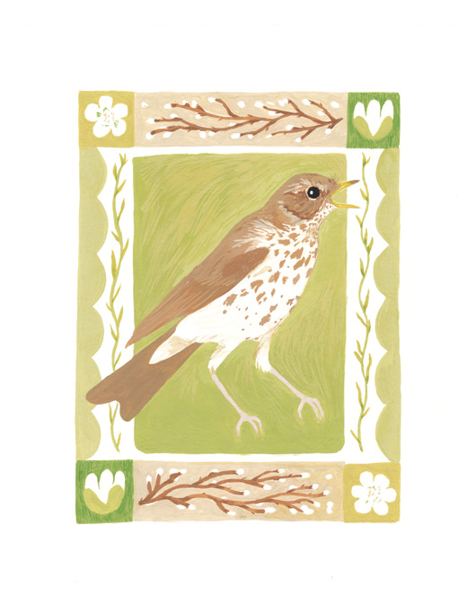grafiki i ilustracje Print Drozd śpiewak 18x24 cm