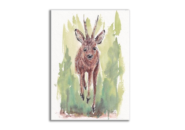 grafiki i ilustracje Sarenka. Akwarela ręcznie malowana