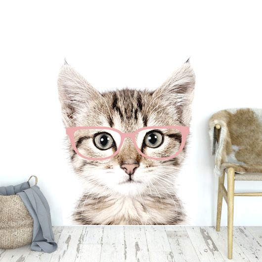 naklejki ścienne do pokoju dziecka Kot w różowych okularach - Naklejka Na Ścianę