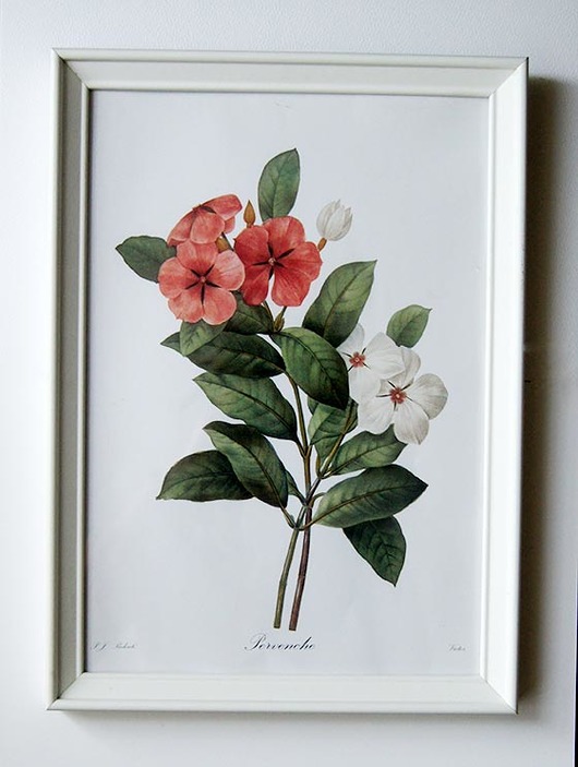botaniczne inspiracje Galeria Belladonna