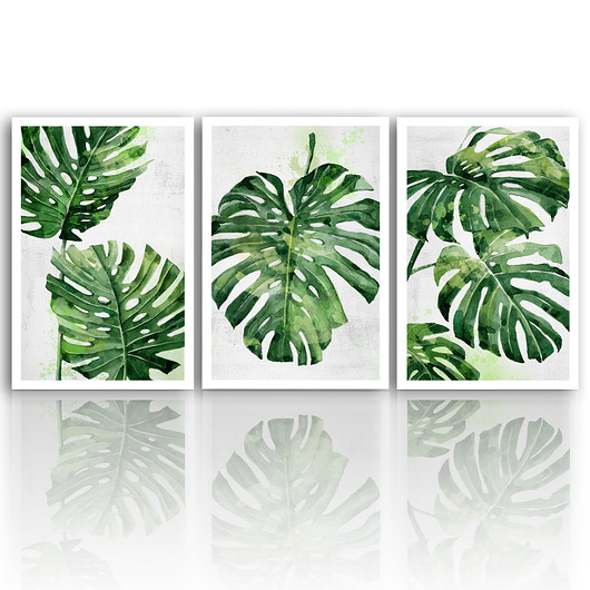 obrazy OBRAZ NA PŁÓTNIE -ROŚLINKI 3 części 50x70cm