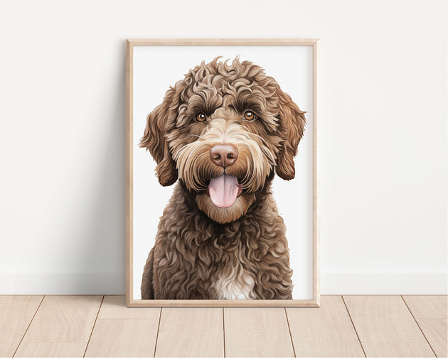 plakaty Plakat lagotto romagnolo