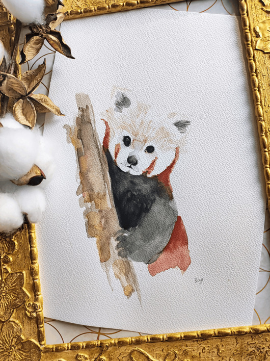 obrazy Akwarela panda czerwona