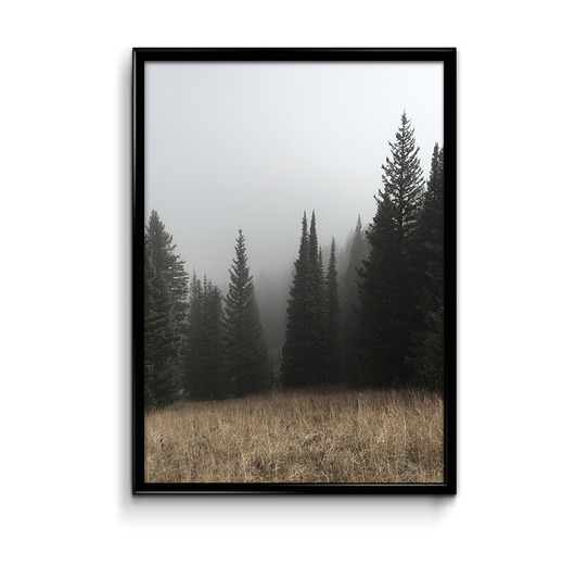 Mgła plakat 50x70 Bury Lis