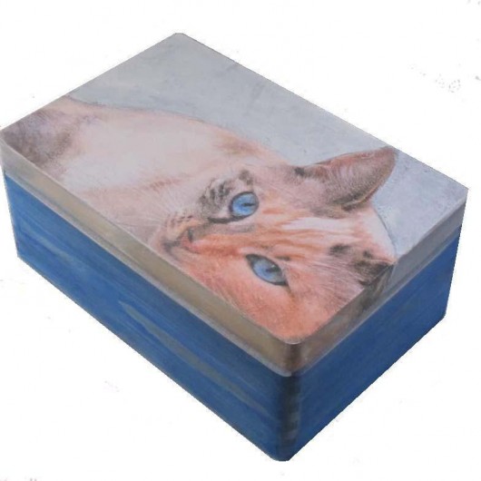 Blue Cat Iwona Rutkowska