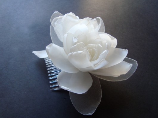 magnoliowy sen SundayRose
