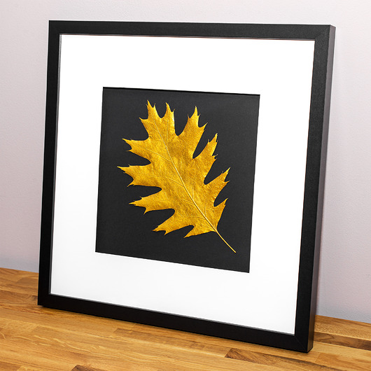 obrazy Obraz 3D. Złoty Liść Dębu. Przestrzenna ramka z passe-partout 40x40 cm