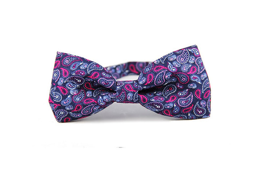 Muszka klasyczna #109 The Bow Bow Ties