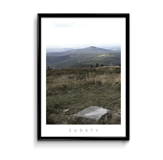 Plakat Sudety #1  Bury Lis