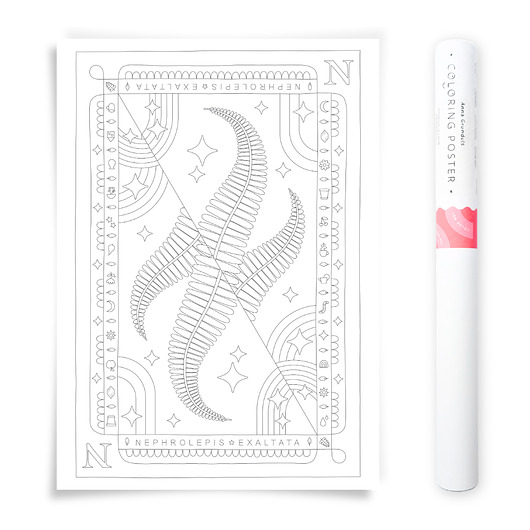 plakaty Plakat do Kolorowania Roślina Doniczkowa Paproć 50x70cm