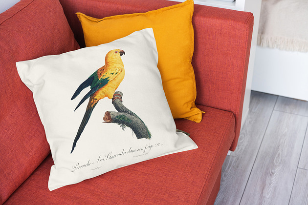 poduszki z grafiką Poduszka - Papuga Sun Parakeet