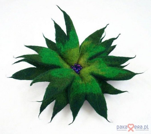 Green Star filcant