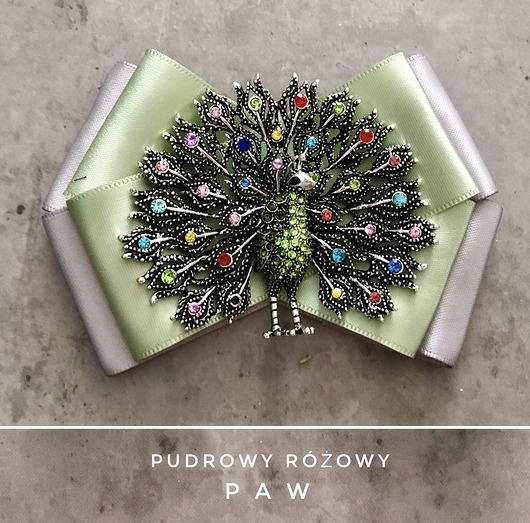 broszki Brosza  z Pawiem NEW Limited!!!!