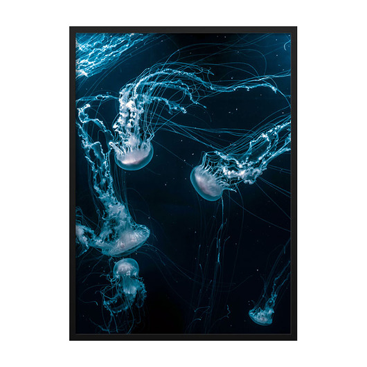 Aqua Jellyfishes, Poster mermer