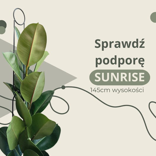 kwietniki Wysoka podpora do roślin domowych 145cm Sunrise