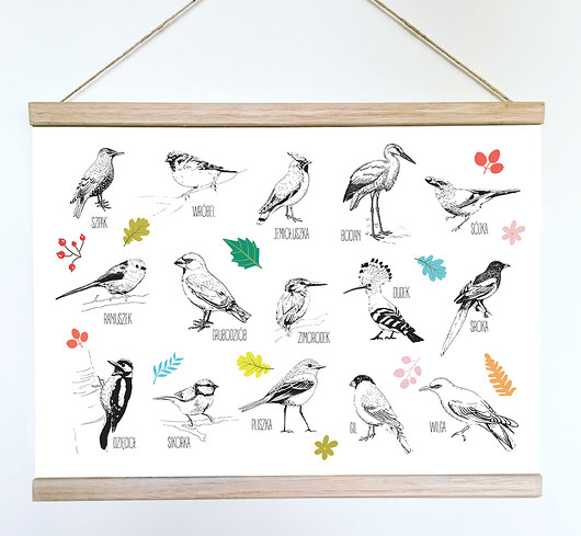 obrazy i plakaty do pokoju dziecięcego Autorska ilustracja Ptaki polski II, montessori