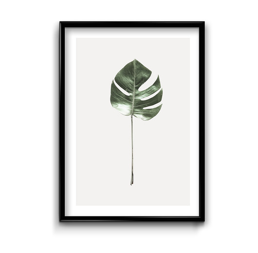 Plakat Naturalny minimalizm #9 Bury Lis