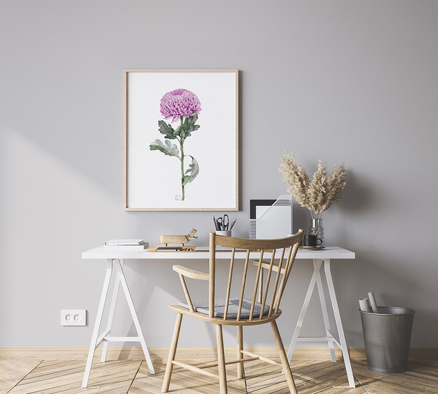 grafiki i ilustracje Różowa chryzantema, grafika, akwarela