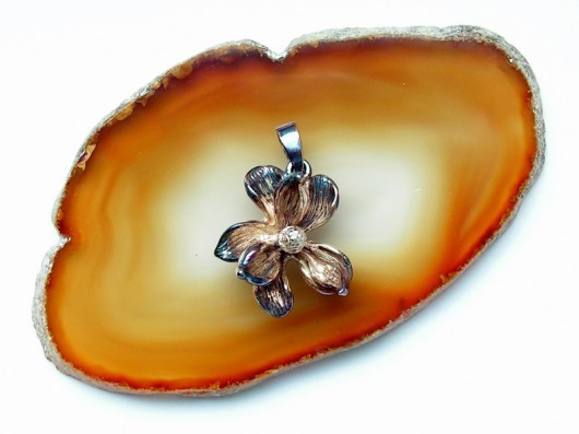Mała magnolia VENUS GALERIA
