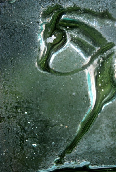 konik vetro
