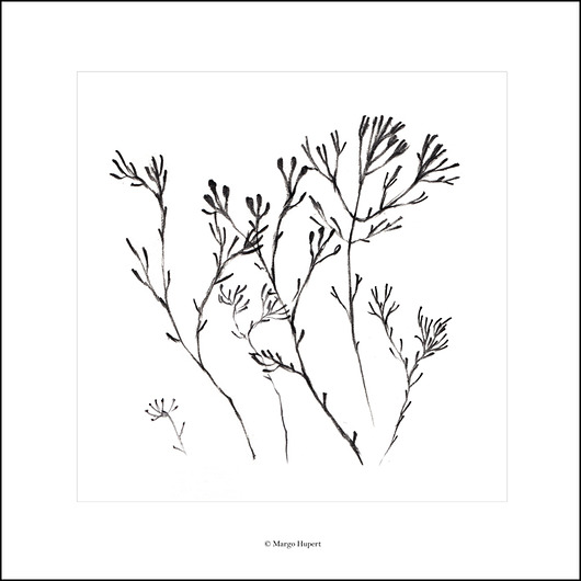 trawy 50x50 cm Margo Hupert