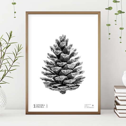 plakaty Plakat na ścianę B2 SZYSZKA czarno-biały