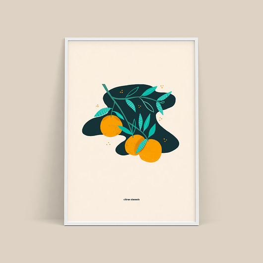 plakat / pomarańcze / b2 Magdalena Morzuch