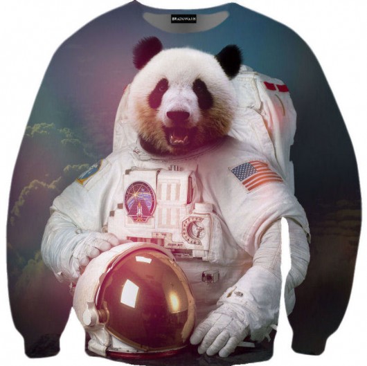 Panda Astronaut Sweatshirt Brain Wash Clothing