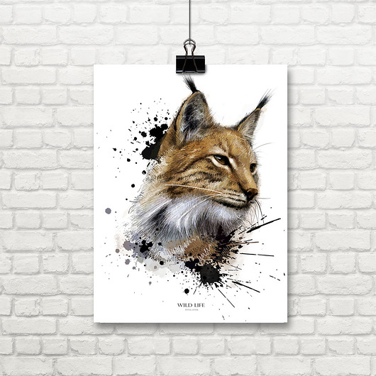 grafiki i ilustracje grafika z serii  WILD LIFE, ryś (lynx lynx)