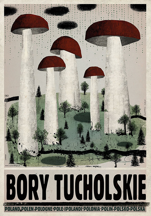 plakaty Plakat Bory Tucholskie (R. Kaja) 98x68 cm