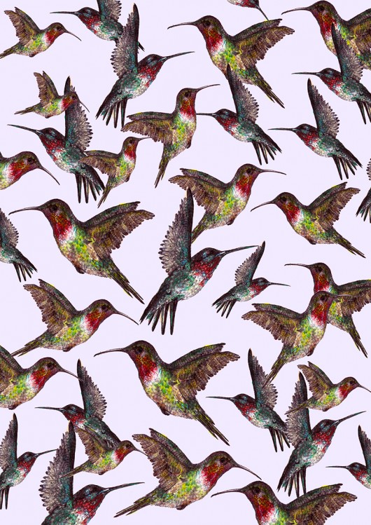 Kolibry BOSKE