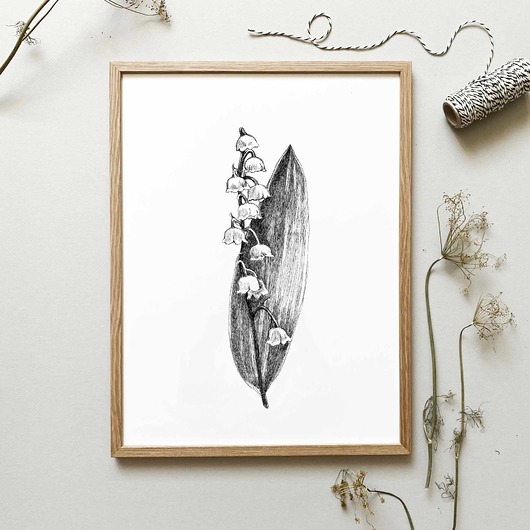 grafiki i ilustracje Konwalia 21x30