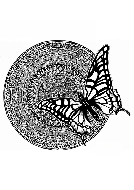 grafiki i ilustracje Mandala nr 14, Motyl, reprodukcje