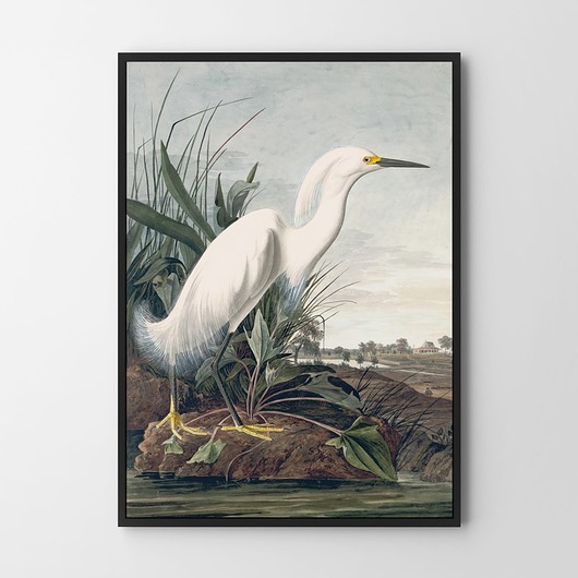 Plakat Biały ptak vintage  HOG STUDIO