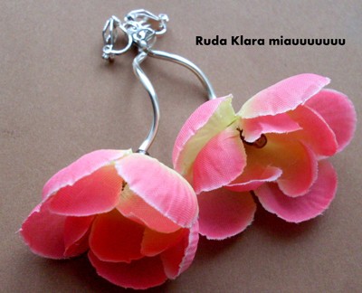 magnolie ruda klara