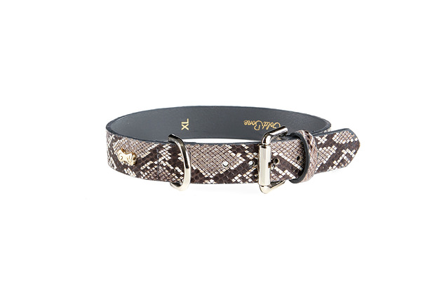smycze i obroże dla psów i kotów Obroża Snake (szerokość 2,5 cm)