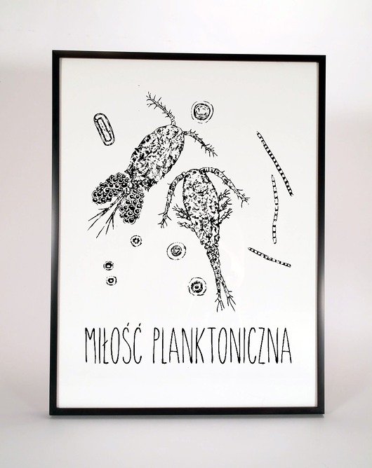 Miłość planktoniczna - plakat serigrafia Wild Dot