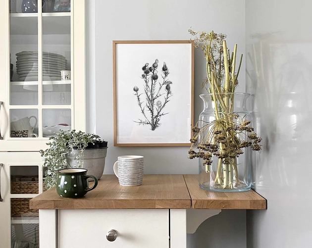 grafiki i ilustracje Zestaw trzech grafik botanicznych 30x40