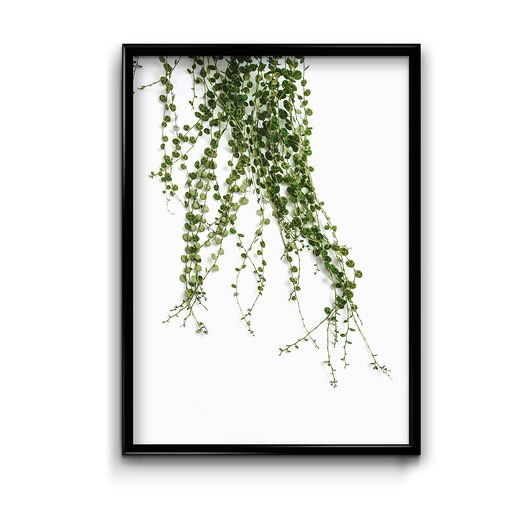 Plakat Zieleń #6  Bury Lis