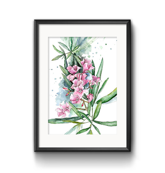 Oleander, 42x30, A3 JUST ILUST Justyna Małczak