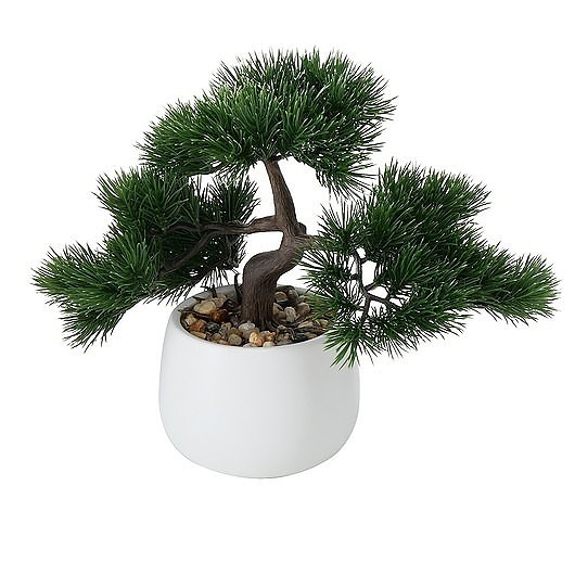 Drzewko Bonsai w Doniczce Allan MIA home