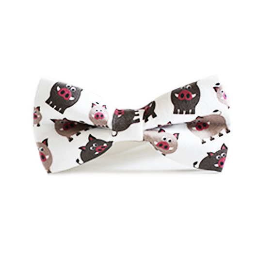 muszki i krawaty Mucha Dziki