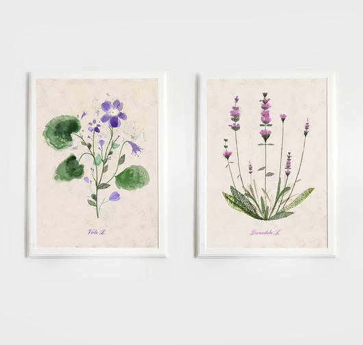 2 ilustracje botaniczne | A3 Anita Tomala